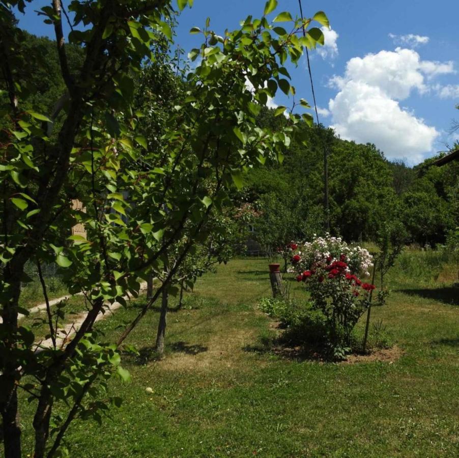 Omar & Una Apartmani Bihać Zewnętrze zdjęcie